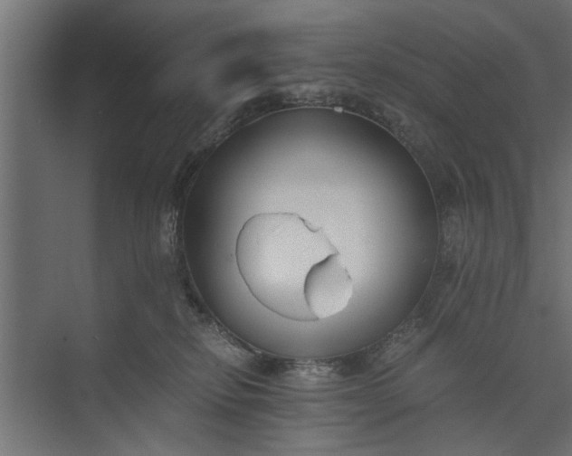 X0000073840278200608241025