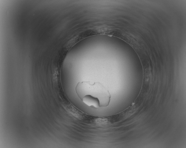 X0000073840279200608241025