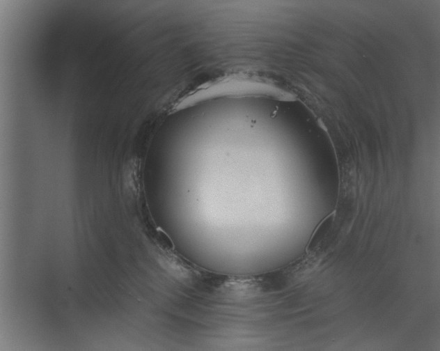 X0000073840280200608241025