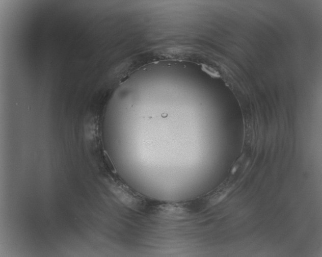 X0000073840284200608241025