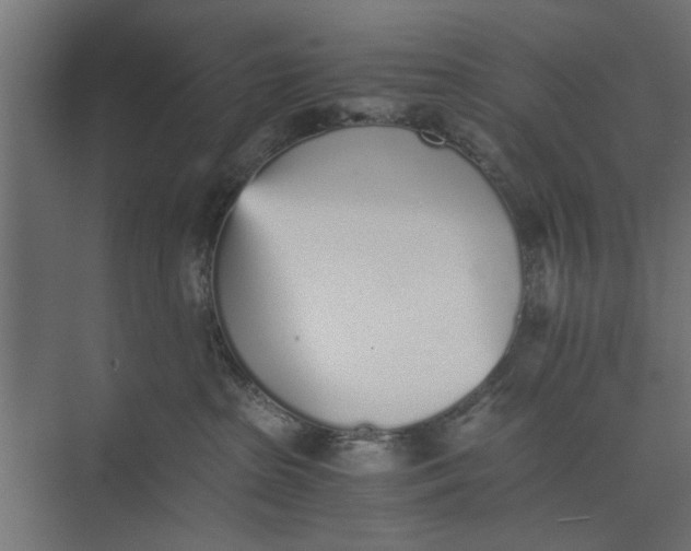 X0000073840285200608241025