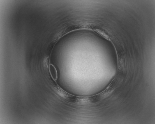 X0000073840286200608241025