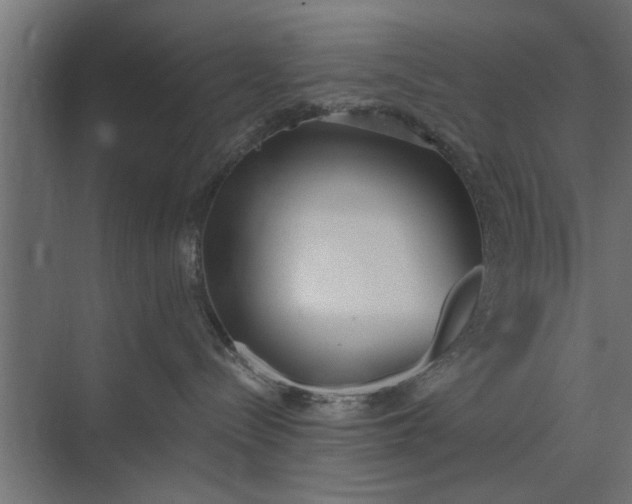 X0000073840288200608241025