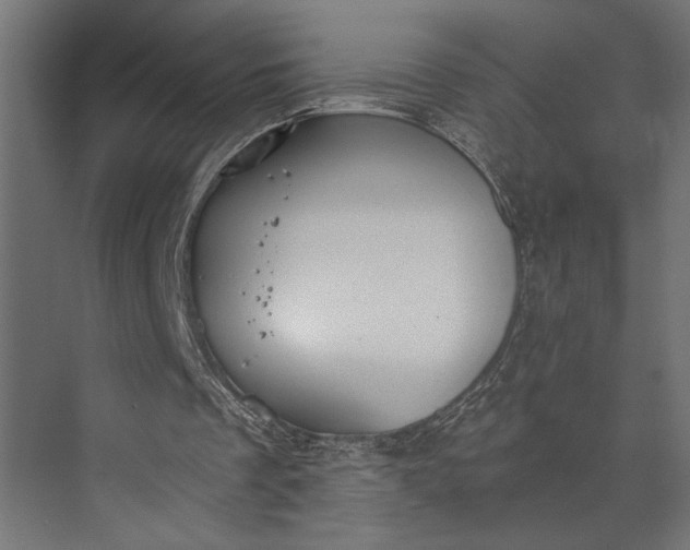 X0000073840289200608241024