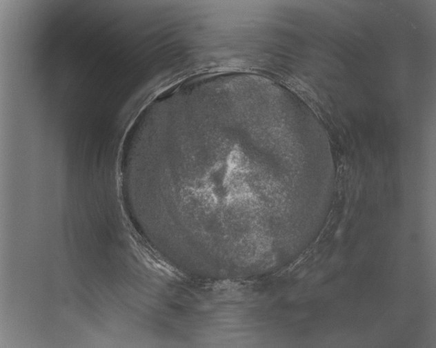 X0000073840290200608241024