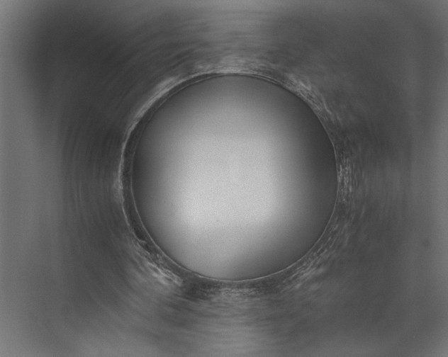 X0000073840292200608241024