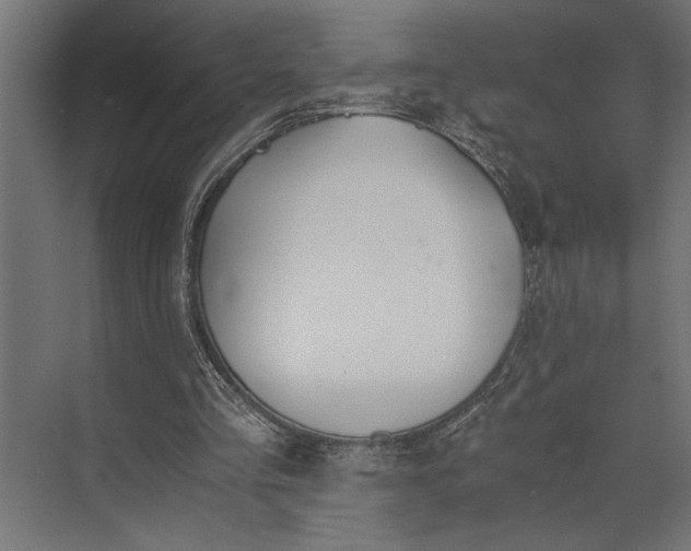 X0000073840293200608241024