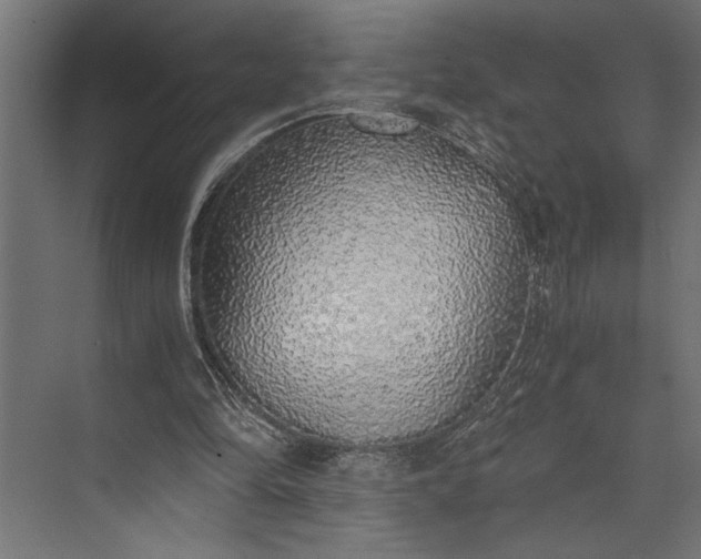 X0000073840294200608241024