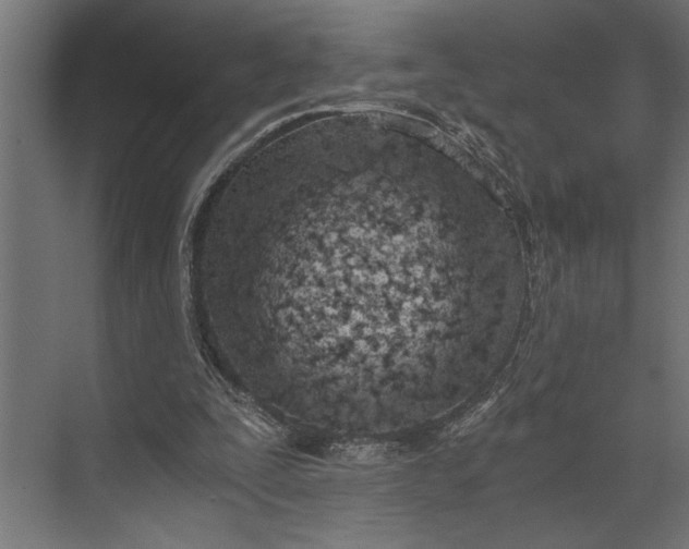 X0000073840295200608241024