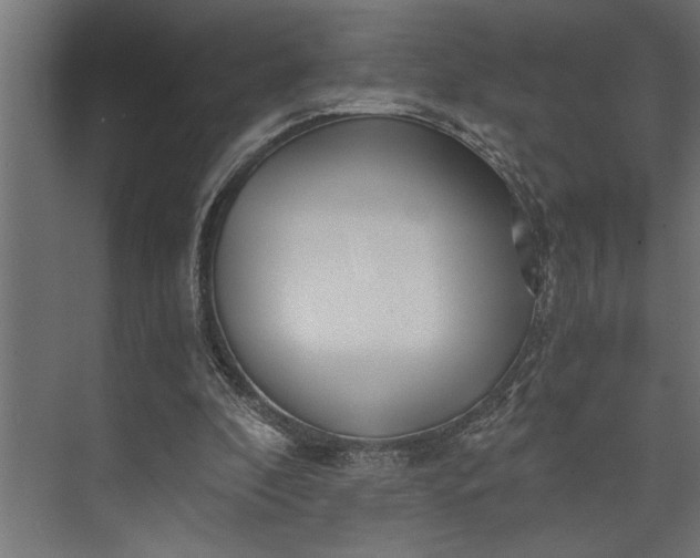 X0000073840296200608241024