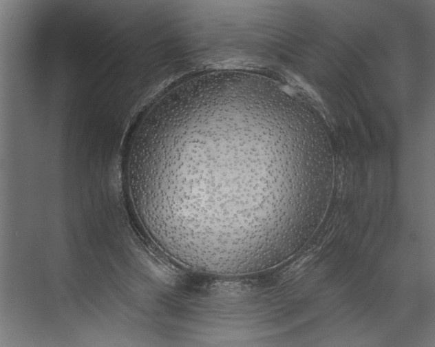 X0000073840298200608241024