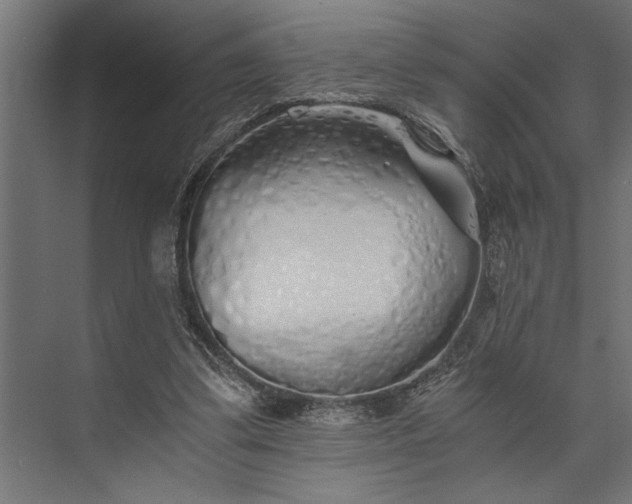 X0000073840299200608241024