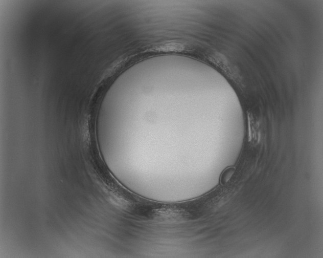 X0000073840300200608241024