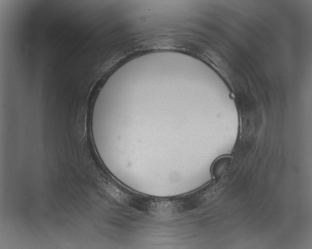 X0000073840301200608241024