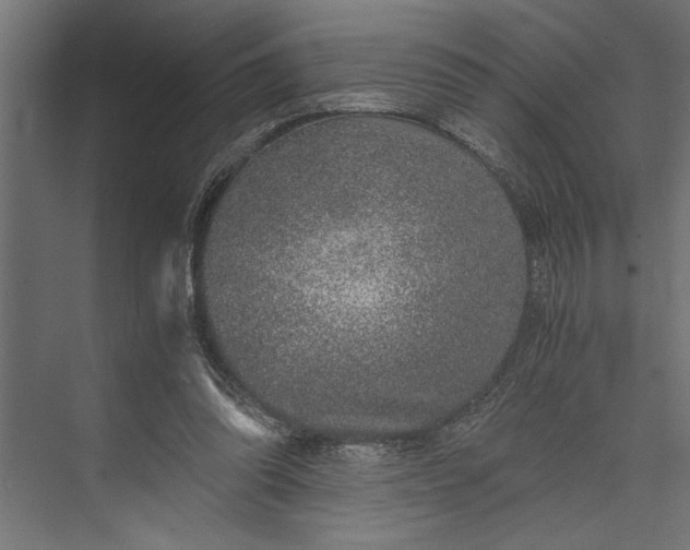 X0000073840302200608241024