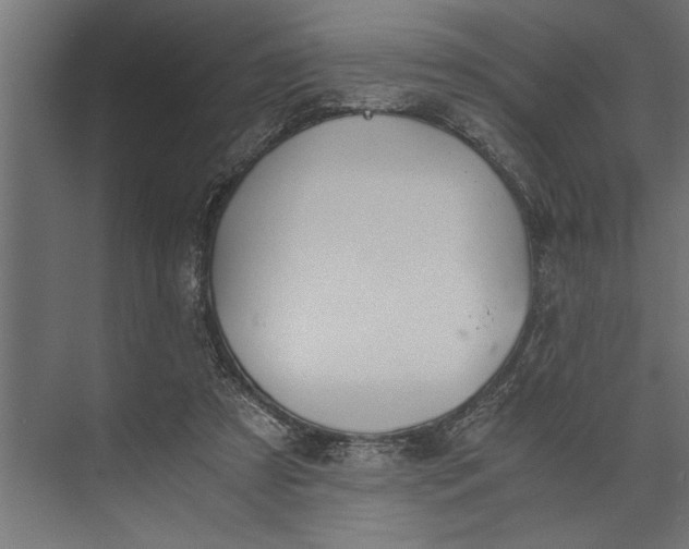 X0000073840305200608241024