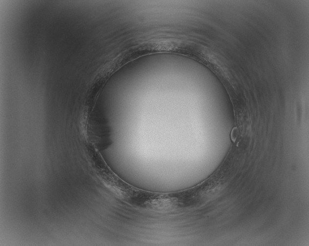 X0000073840307200608241024