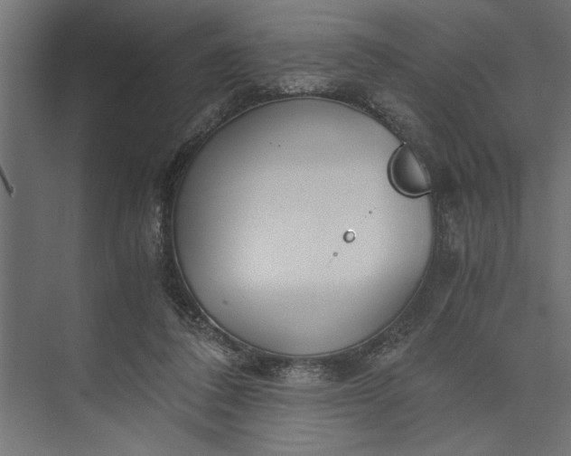 X0000073840308200608241024