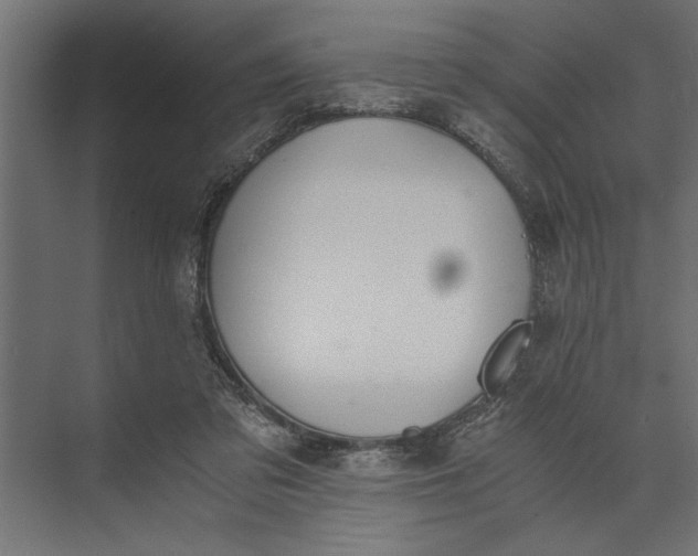 X0000073840309200608241024