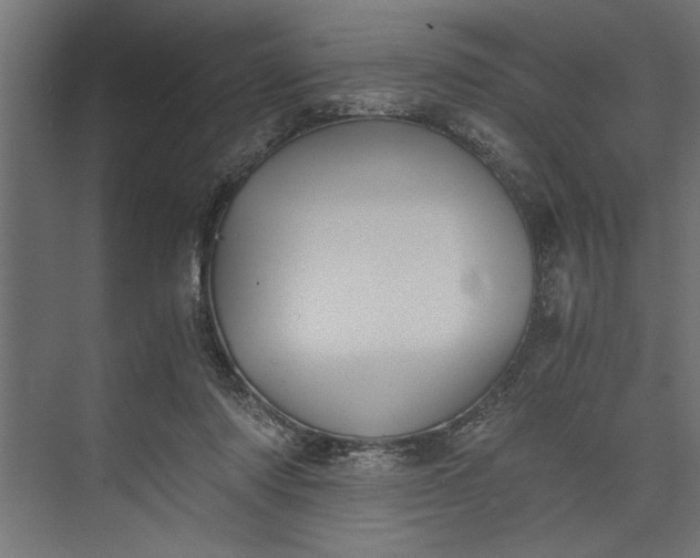 X0000073840310200608241024