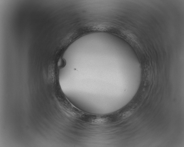 X0000073840312200608241023