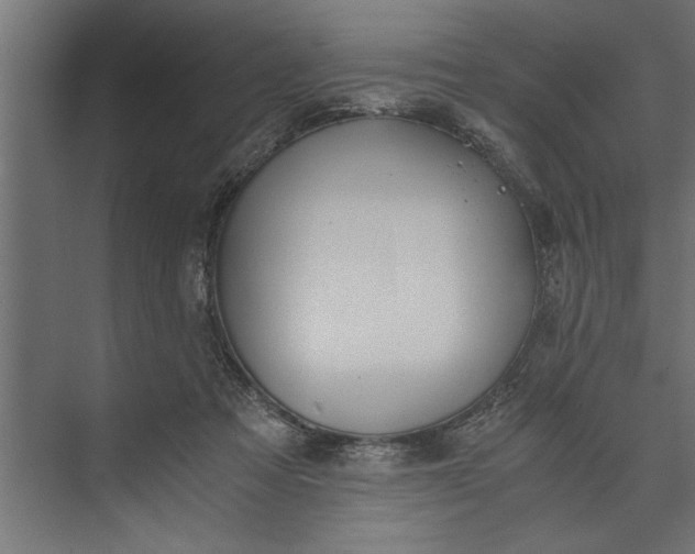 X0000073840313200608241023