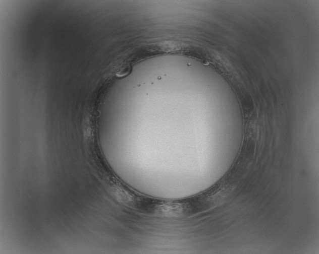 X0000073840317200608241023