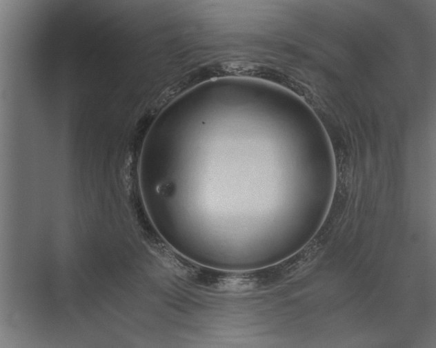 X0000073840319200608241023