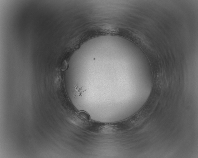 X0000073840320200608241023