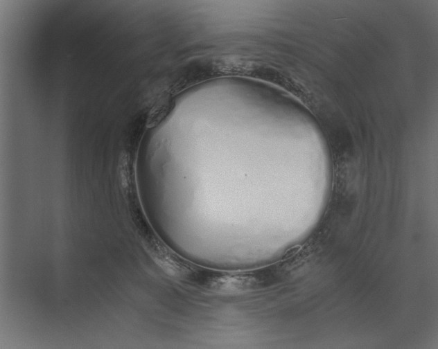 X0000073840323200608241023