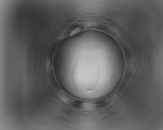 X0000073840327200608241023