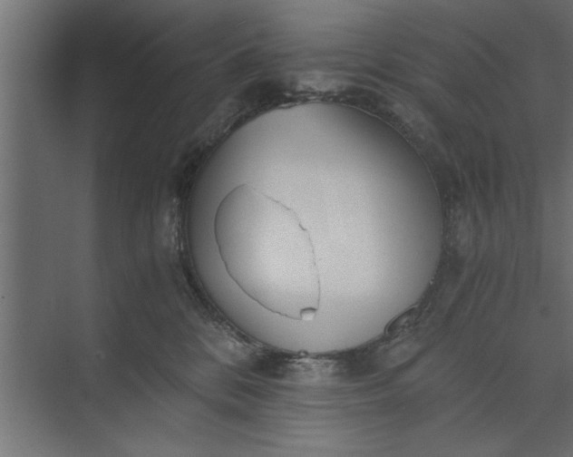 X0000073840328200608241023