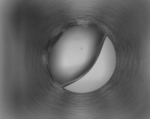 X0000073840329200608241023