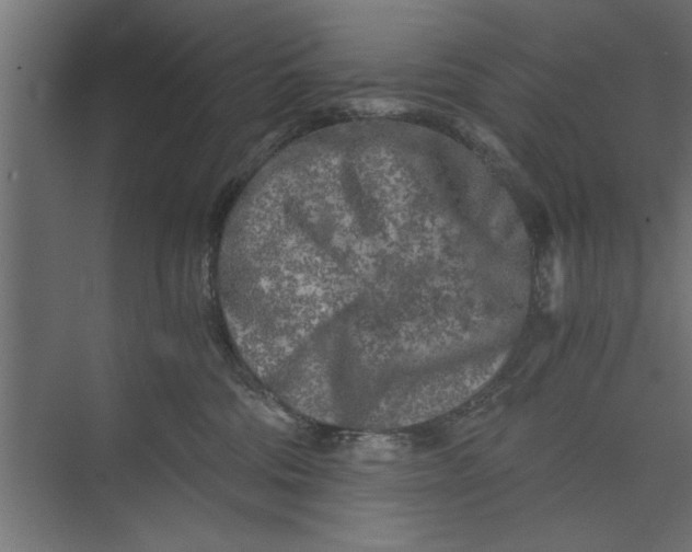 X0000073840330200608241023