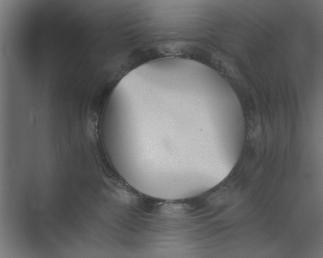 X0000073840332200608241023