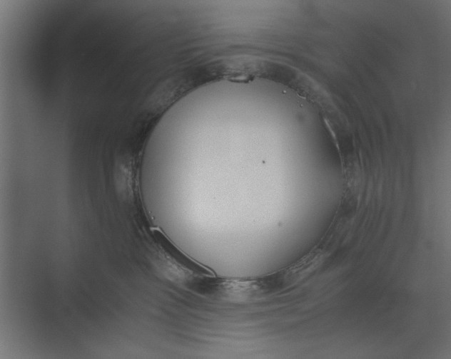 X0000073840333200608241023