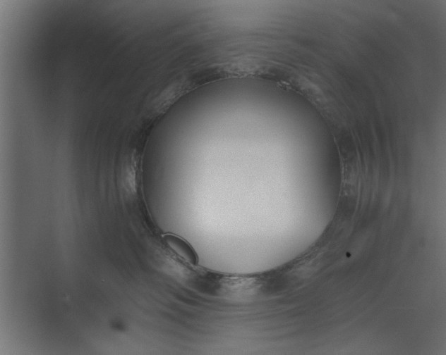 X0000073840334200608241023