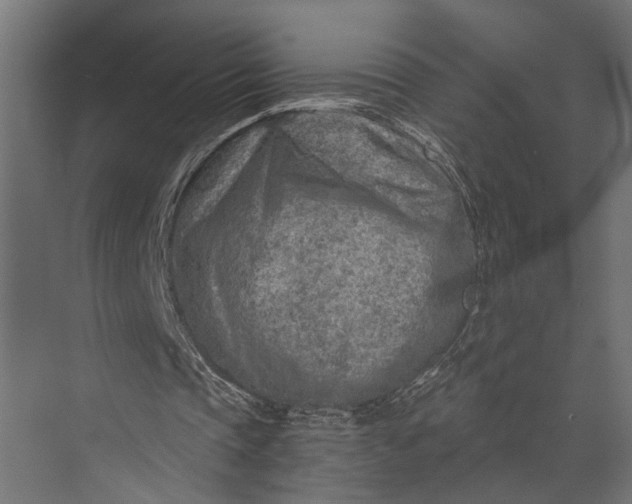 X0000073840337200608241022