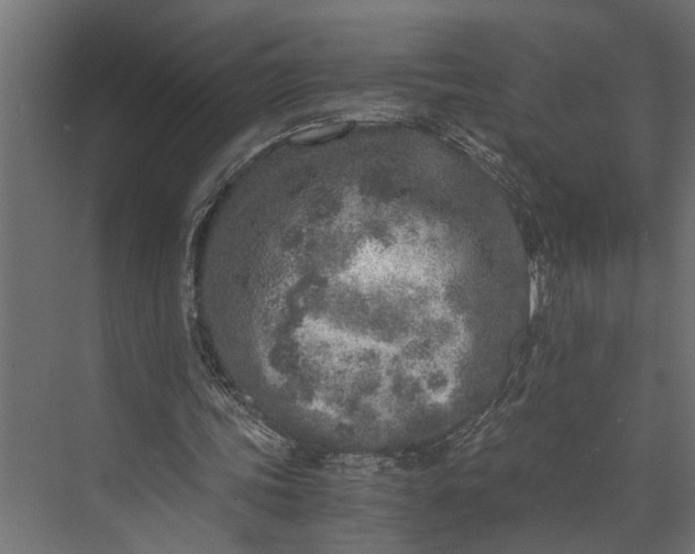 X0000073840339200608241022