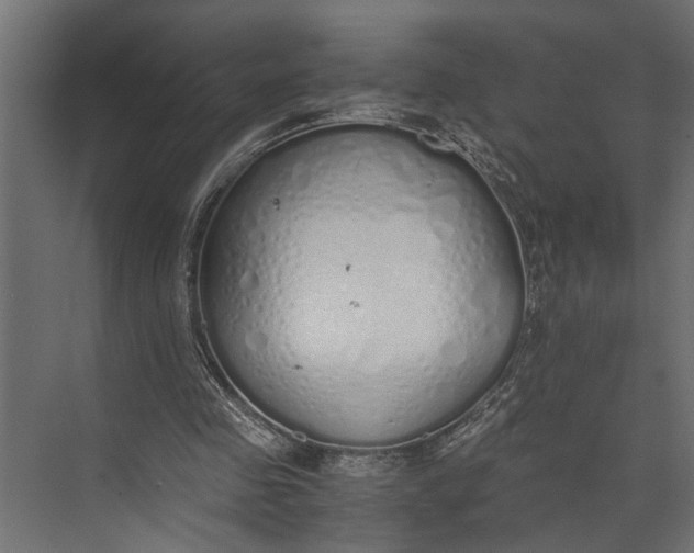 X0000073840341200608241022