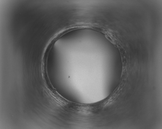 X0000073840342200608241022