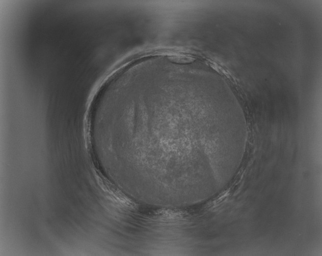 X0000073840343200608241022