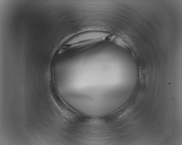 X0000073840348200608241022