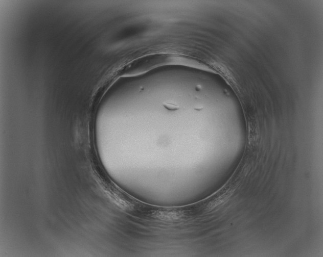 X0000073840349200608241022