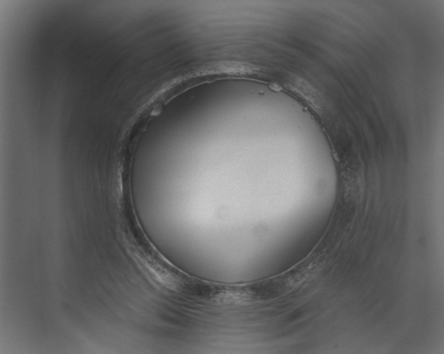 X0000073840350200608241022