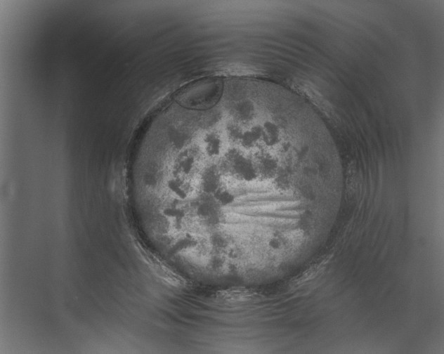 X0000073840351200608241023