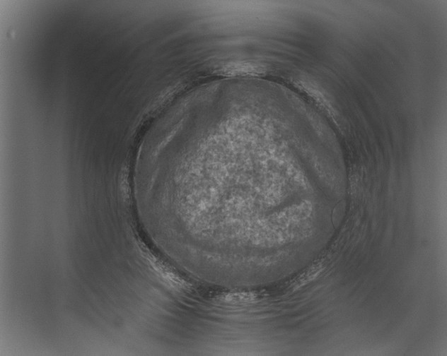 X0000073840353200608241023