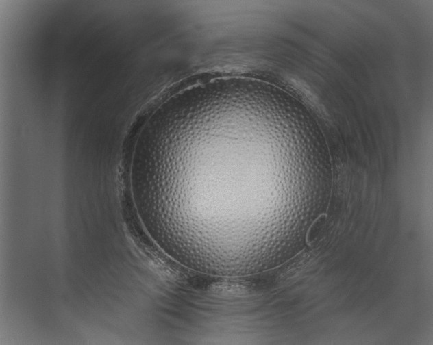 X0000073840354200608241023