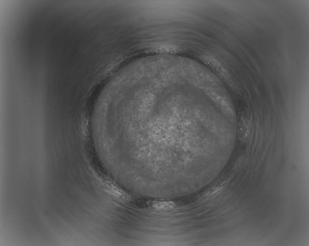 X0000073840355200608241023