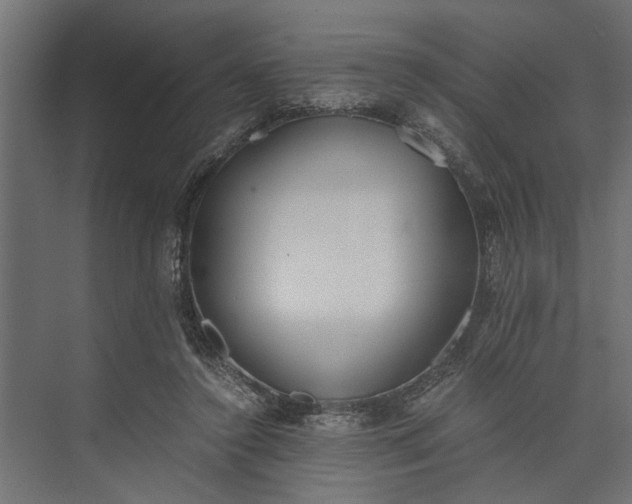 X0000073840356200608241023